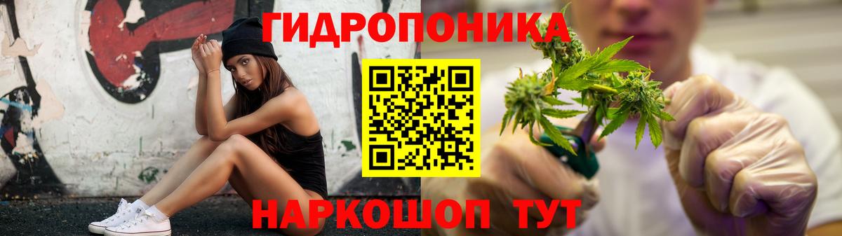 МАРИХУАНА OG Kush Семёнов